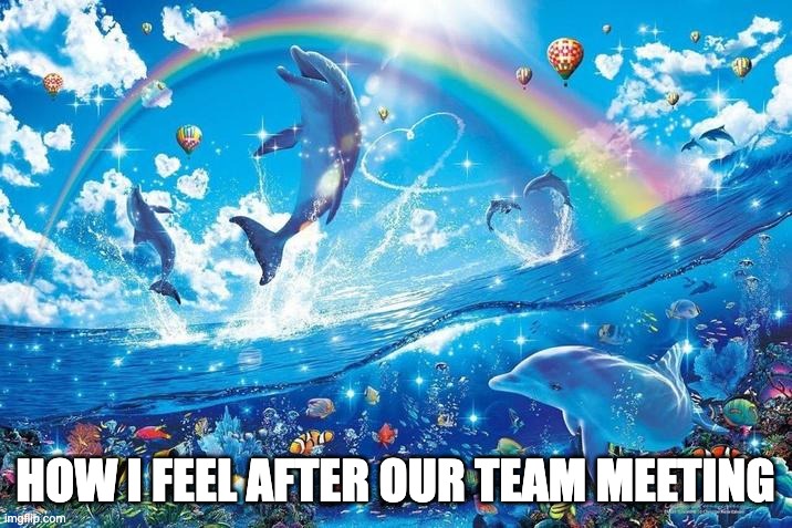 Happy dolphin rainbow | HOW I FEEL AFTER OUR TEAM MEETING | image tagged in happy dolphin rainbow | made w/ Imgflip meme maker