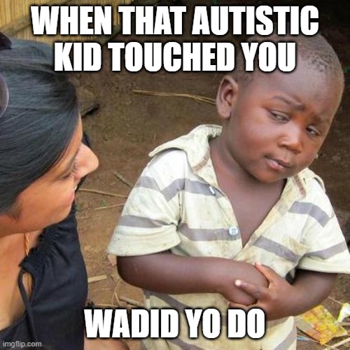 Good Meme | WHEN THAT AUTISTIC KID TOUCHED YOU; WADID YO DO | image tagged in memes,third world skeptical kid | made w/ Imgflip meme maker