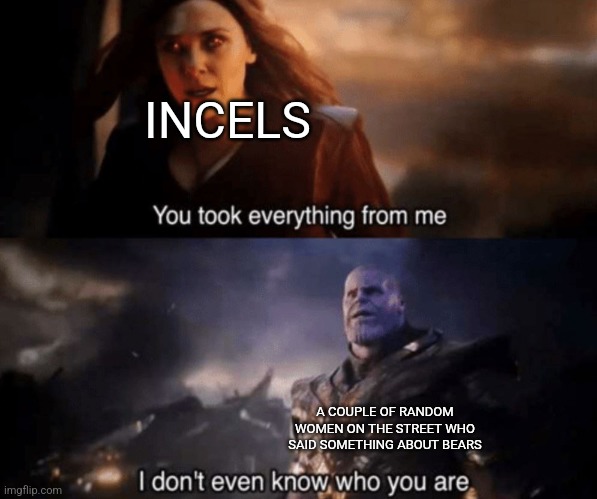 You took everything from me - I don't even know who you are | INCELS; A COUPLE OF RANDOM WOMEN ON THE STREET WHO SAID SOMETHING ABOUT BEARS | image tagged in you took everything from me - i don't even know who you are,incel | made w/ Imgflip meme maker