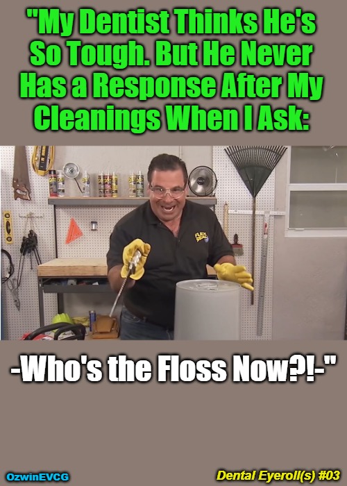 Dental Eyeroll(s) #03 | "My Dentist Thinks He's 

So Tough. But He Never 

Has a Response After My 

Cleanings When I Ask:; -Who's the Floss Now?!-"; Dental Eyeroll(s) #03; OzwinEVCG | image tagged in phil swift,flex seal,dental eyeroll,memes,tough guy,speechless | made w/ Imgflip meme maker
