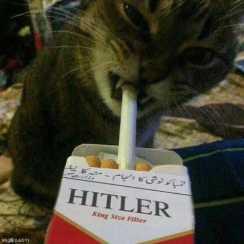 Hitler | image tagged in hitler | made w/ Imgflip meme maker