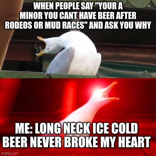 Luke Combsssss | WHEN PEOPLE SAY "YOUR A MINOR YOU CANT HAVE BEER AFTER RODEOS OR MUD RACES" AND ASK YOU WHY; ME: LONG NECK ICE COLD BEER NEVER BROKE MY HEART | image tagged in boy seagull,country music | made w/ Imgflip meme maker