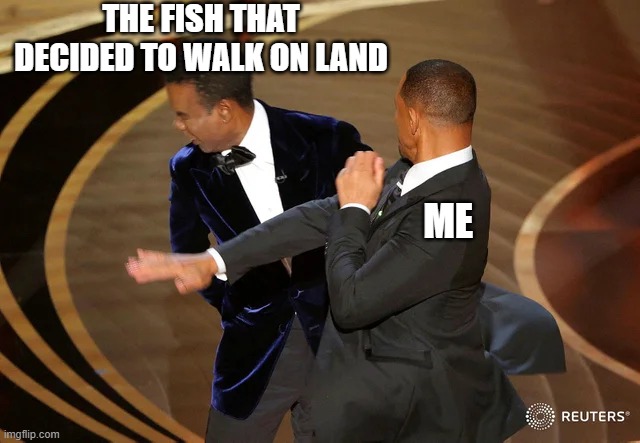 Will Smith punching Chris Rock | THE FISH THAT DECIDED TO WALK ON LAND; ME | image tagged in will smith punching chris rock,fish,walk,land,struggling,memes | made w/ Imgflip meme maker