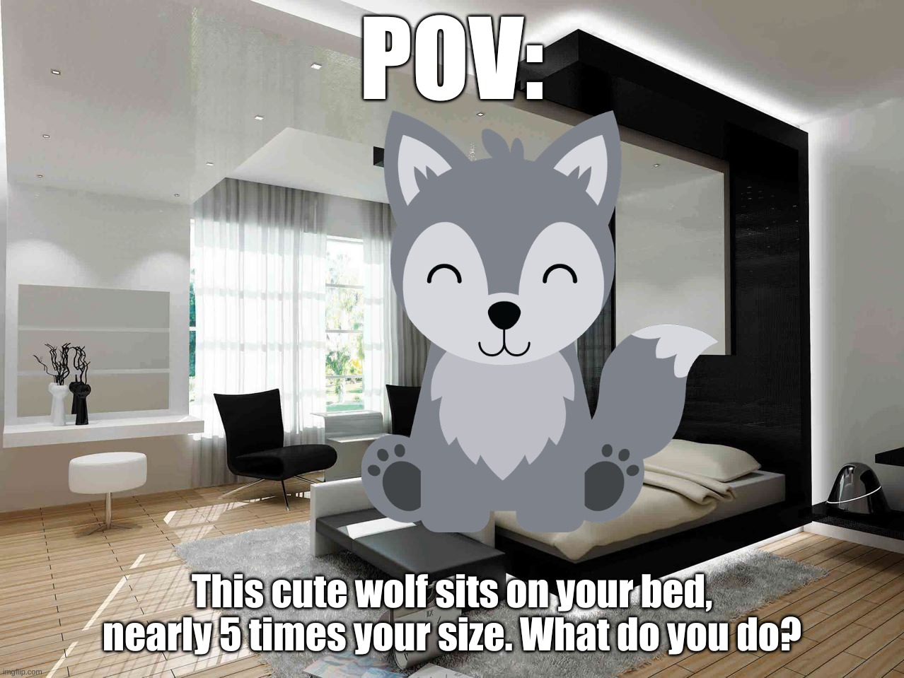 Standard Rules Apply! Yes, it'll be able to talk, and is a Male(may be switched to female if you prefer) | POV:; This cute wolf sits on your bed, nearly 5 times your size. What do you do? | image tagged in no erp,no weapons,you cannot harm or kill it,be wholesome,try not to scare it,keep it e rated | made w/ Imgflip meme maker