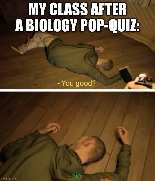 Resident Evil you good | MY CLASS AFTER A BIOLOGY POP-QUIZ: | image tagged in resident evil you good | made w/ Imgflip meme maker