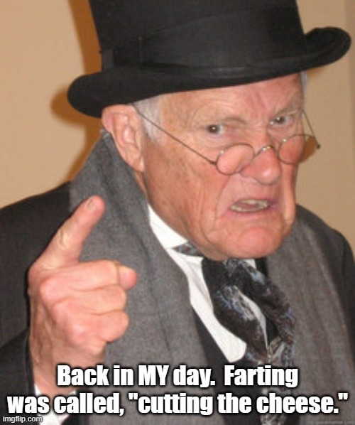Farting. | Back in MY day.  Farting was called, "cutting the cheese." | image tagged in back in my day,fart,farts | made w/ Imgflip meme maker