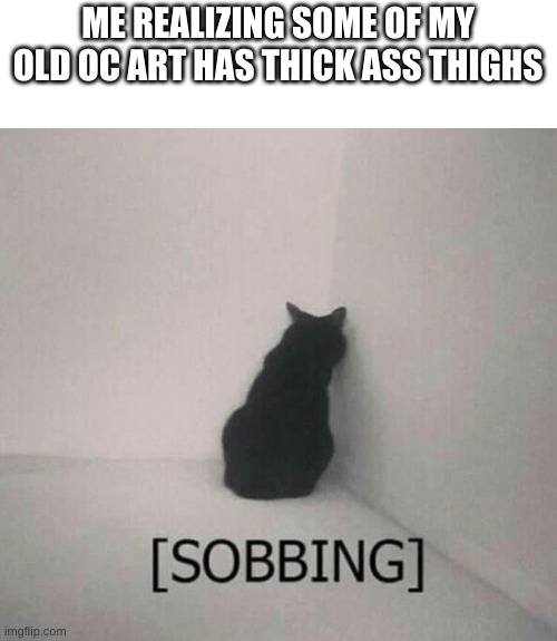 oh god what have i done (3 ups and i post it) | ME REALIZING SOME OF MY OLD OC ART HAS THICK ASS THIGHS | image tagged in sobbing cat | made w/ Imgflip meme maker