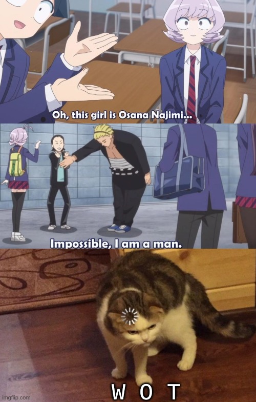 [Confused Cat Noises] | W O T | image tagged in anime | made w/ Imgflip meme maker