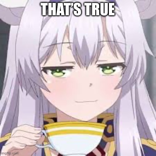 smug anime face | THAT’S TRUE | image tagged in smug anime face | made w/ Imgflip meme maker