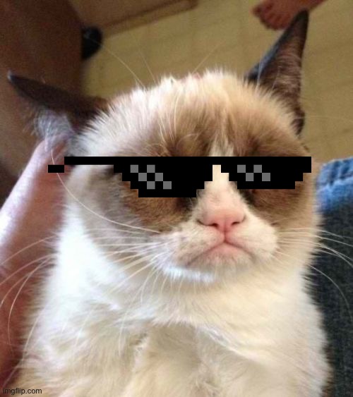 Grumpy Cat Reverse | image tagged in memes,grumpy cat reverse,grumpy cat | made w/ Imgflip meme maker