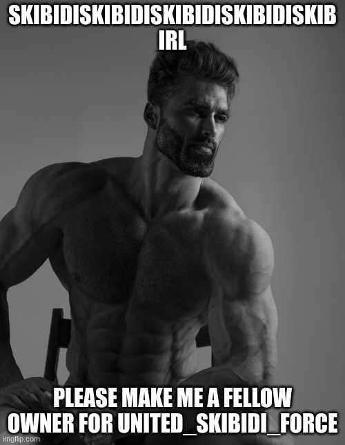 Giga Chad | SKIBIDISKIBIDISKIBIDISKIBIDISKIB IRL; PLEASE MAKE ME A FELLOW OWNER FOR UNITED_SKIBIDI_FORCE | image tagged in giga chad | made w/ Imgflip meme maker