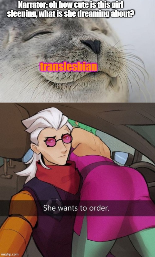 Translesbians are cute | Narrator: oh how cute is this girl sleeping, what is she dreaming about? translesbian | image tagged in memes,satisfied seal,transgender,lesbians | made w/ Imgflip meme maker