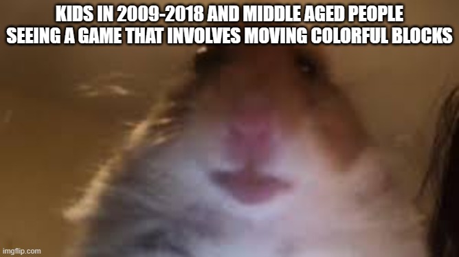 late 2000's kids and moms love candy crush | KIDS IN 2009-2018 AND MIDDLE AGED PEOPLE SEEING A GAME THAT INVOLVES MOVING COLORFUL BLOCKS | image tagged in facetime hamster,candy crush,facts,2009,2000 | made w/ Imgflip meme maker