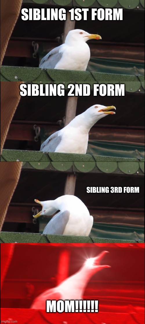 Inhaling Seagull | SIBLING 1ST FORM; SIBLING 2ND FORM; SIBLING 3RD FORM; MOM!!!!!! | image tagged in memes,inhaling seagull | made w/ Imgflip meme maker