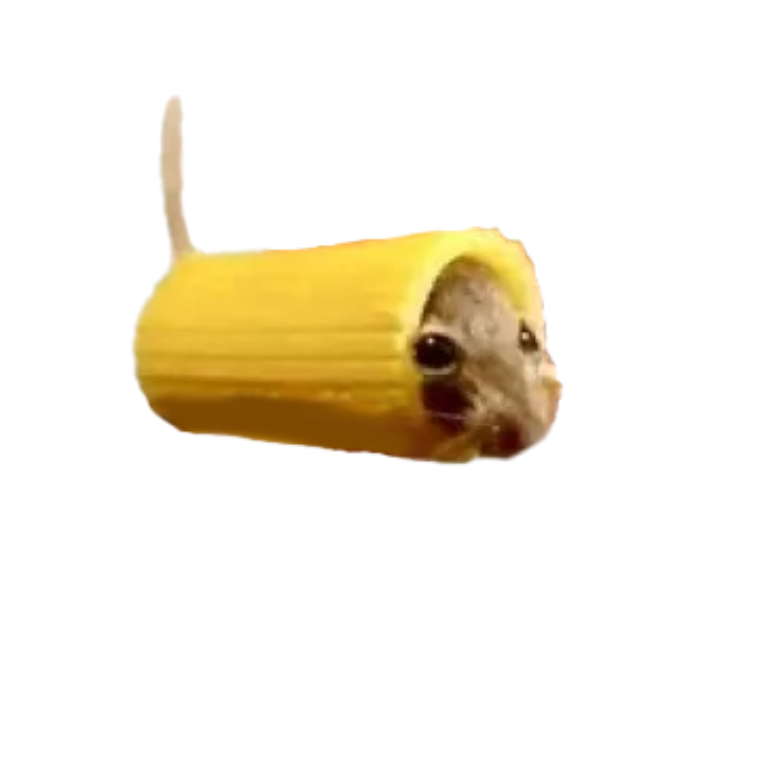 Mouse in pasta Blank Meme Template