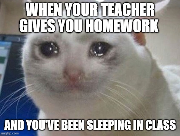 Why do I have to make a title? | WHEN YOUR TEACHER GIVES YOU HOMEWORK; AND YOU'VE BEEN SLEEPING IN CLASS | image tagged in crying cat,everyone hates homework | made w/ Imgflip meme maker