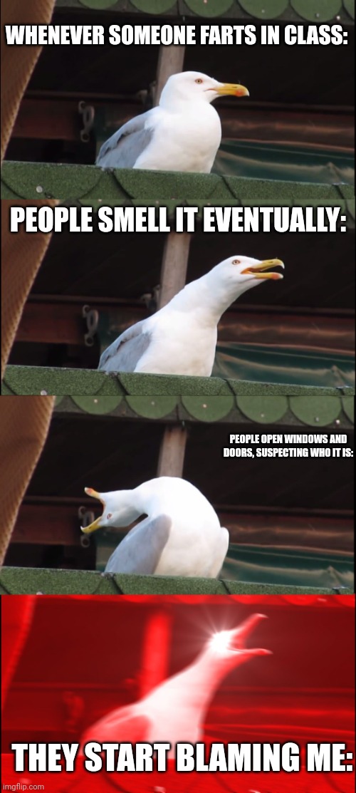 Inhaling Seagull | WHENEVER SOMEONE FARTS IN CLASS:; PEOPLE SMELL IT EVENTUALLY:; PEOPLE OPEN WINDOWS AND DOORS, SUSPECTING WHO IT IS:; THEY START BLAMING ME: | image tagged in memes,inhaling seagull | made w/ Imgflip meme maker