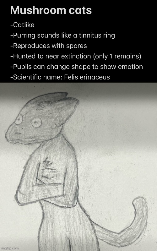 I MADE A SPECIES | image tagged in cat,original species,art | made w/ Imgflip meme maker