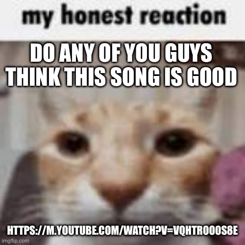 My Honest Reaction | DO ANY OF YOU GUYS THINK THIS SONG IS GOOD; HTTPS://M.YOUTUBE.COM/WATCH?V=VQHTROO0S8E | image tagged in my honest reaction | made w/ Imgflip meme maker