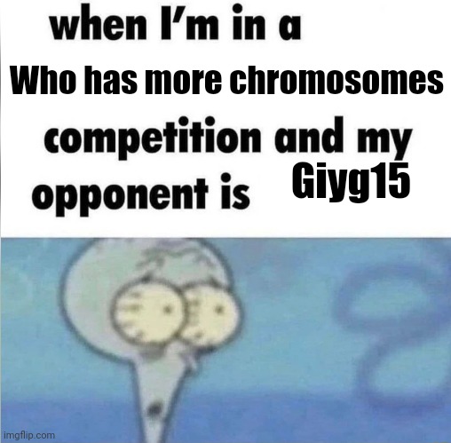 Creative title(rhok-zan note:real funny....oh I got a New name) | Who has more chromosomes; Giyg15 | image tagged in whe i'm in a competition and my opponent is | made w/ Imgflip meme maker