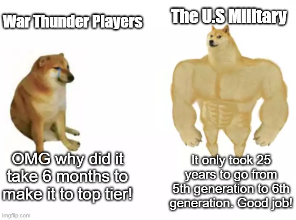 I get that it's a game, but dang shut up already. | War Thunder Players; The U.S Military; It only took 25 years to go from 5th generation to 6th generation. Good job! OMG why did it take 6 months to make it to top tier! | image tagged in buff doge vs cheems reversed | made w/ Imgflip meme maker