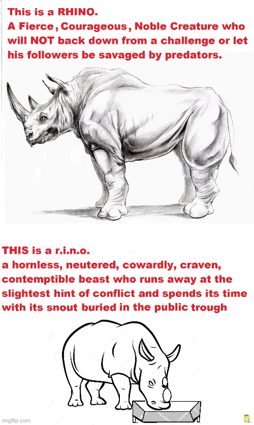 Rhino vs R.I.N.O. (c) | image tagged in corruption,cowards,politicians | made w/ Imgflip meme maker