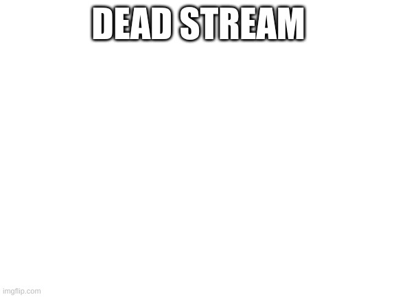 dead stream | DEAD STREAM | image tagged in blank white template | made w/ Imgflip meme maker