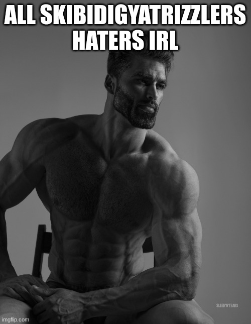 Giga Chad | ALL SKIBIDIGYATRIZZLERS HATERS IRL | image tagged in giga chad | made w/ Imgflip meme maker