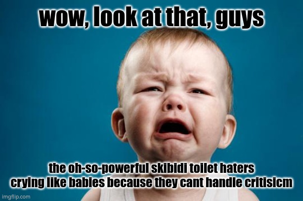 BABY CRYING | wow, look at that, guys; the oh-so-powerful skibidi toilet haters crying like babies because they cant handle critisicm | image tagged in baby crying | made w/ Imgflip meme maker