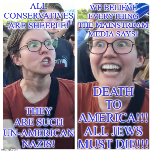 Liberal Logic in a nutshell: | ALL CONSERVATIVES ARE SHEEPLE! WE BELIEVE EVERYTHING THE MAINSTREAM MEDIA SAYS! THEY ARE SUCH UN-AMERICAN NAZIS! DEATH TO AMERICA!!! ALL JEWS MUST DIE!!! | image tagged in social justice warrior hypocrisy,liberal logic,liberal hypocrisy,hypocrites | made w/ Imgflip meme maker