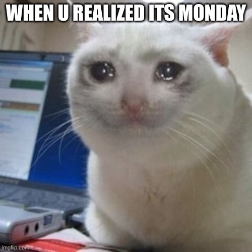 **me on Mondays** | WHEN U REALIZED ITS MONDAY | image tagged in crying cat | made w/ Imgflip meme maker