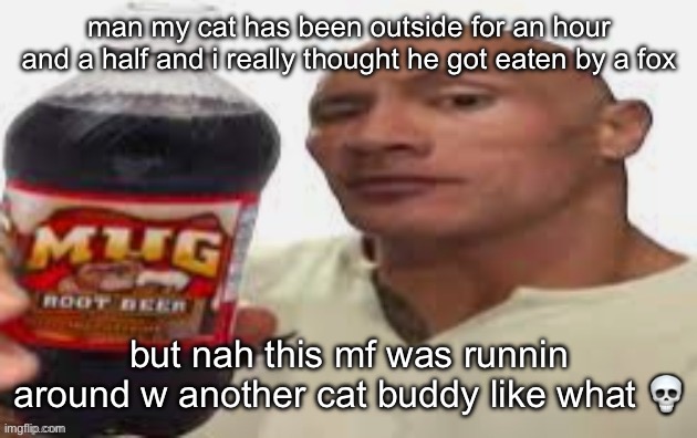there are so many foxes here its insane | man my cat has been outside for an hour and a half and i really thought he got eaten by a fox; but nah this mf was runnin around w another cat buddy like what 💀 | image tagged in the rock mug root beer | made w/ Imgflip meme maker