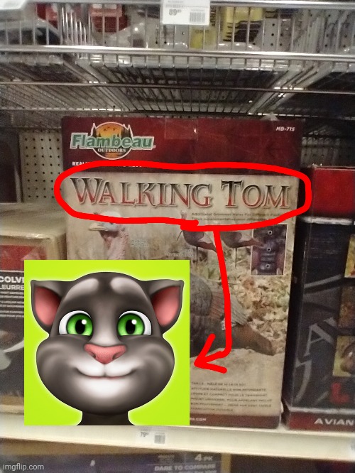 Stumbled across a Talking Tom name soundalike 10 months ago. | image tagged in talking tom,name soundalikes,memes,funny | made w/ Imgflip meme maker