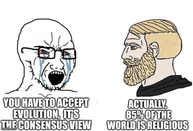 Soyboy Vs Yes Chad | ACTUALLY,  85% OF THE WORLD IS RELIGIOUS; YOU HAVE TO ACCEPT EVOLUTION,  IT'S THE CONSENSUS VIEW | image tagged in soyboy vs yes chad | made w/ Imgflip meme maker