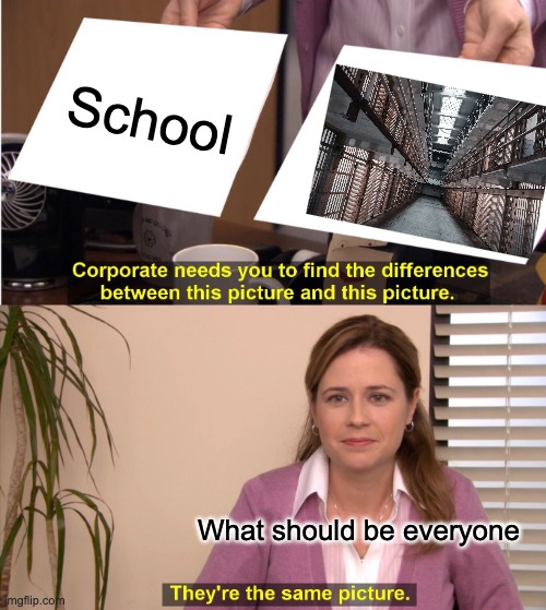 Yes | School; What should be everyone | image tagged in memes,they're the same picture | made w/ Imgflip meme maker