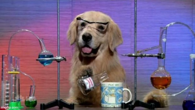 Chemistry Dog | image tagged in chemistry dog | made w/ Imgflip meme maker