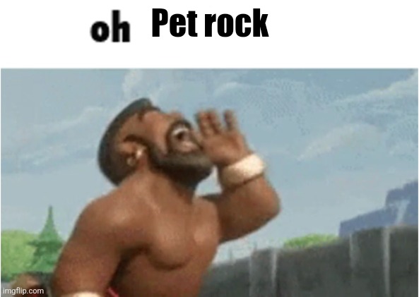 OH MODERATORS | Pet rock | image tagged in oh moderators | made w/ Imgflip meme maker