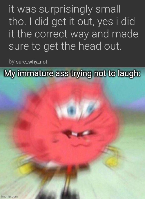 My immature ass trying not to laugh: | image tagged in holding it in | made w/ Imgflip meme maker