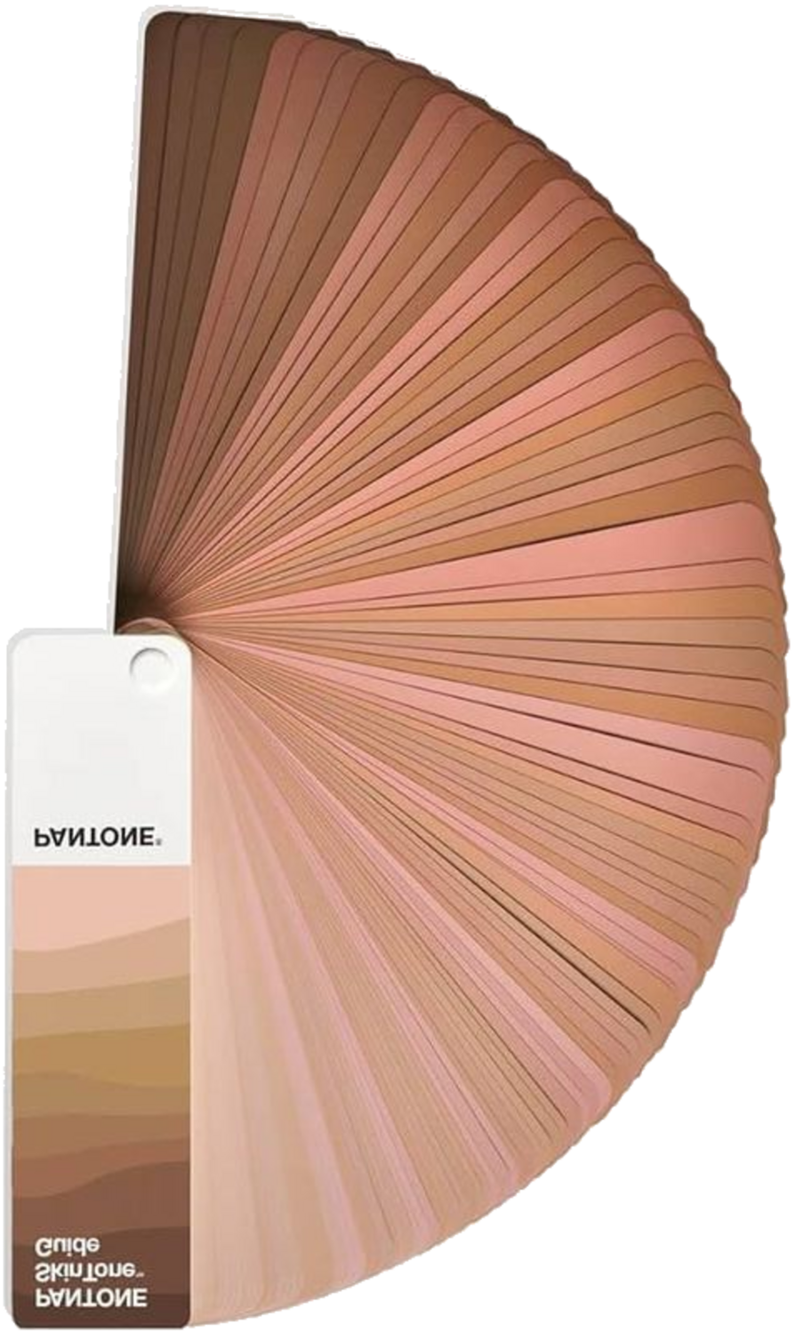 Abanico Pantone skin selector Blank Meme Template