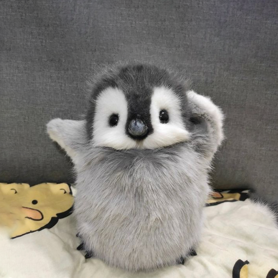 pengi Blank Meme Template