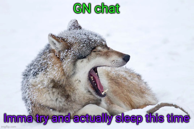 This is the third time tonight that I've made a GN Chat post. With the storm and everything it's been a wild night | GN chat; Imma try and actually sleep this time | image tagged in yawning wolf | made w/ Imgflip meme maker