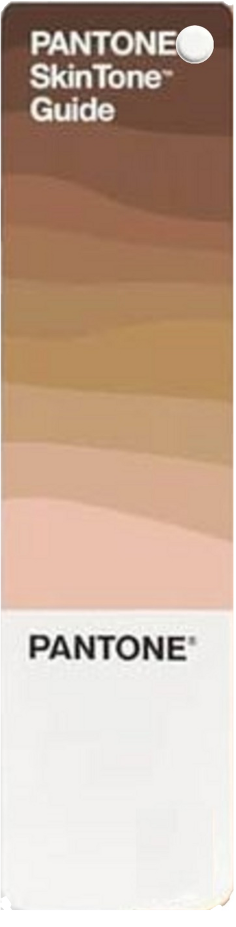 High Quality Portada pantone skin selector Blank Meme Template