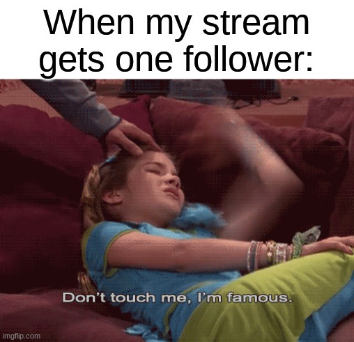 Don't Touch me I'm famous | When my stream gets one follower: | image tagged in don't touch me i'm famous,imgflippers,memes,funny,relatable | made w/ Imgflip meme maker