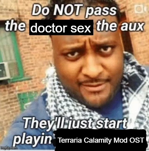 Do not pass the X the aux They’ll just start playin Y | doctor sex; Terraria Calamity Mod OST | image tagged in do not pass the x the aux they ll just start playin y | made w/ Imgflip meme maker