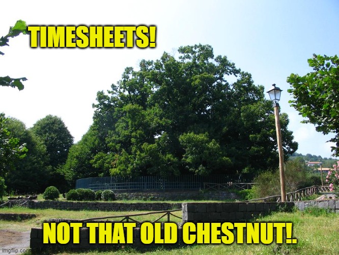 Chestnut Tree Timesheet reminder | TIMESHEETS! NOT THAT OLD CHESTNUT!. | image tagged in timesheet meme,timesheet reminder,not that old chestnut | made w/ Imgflip meme maker
