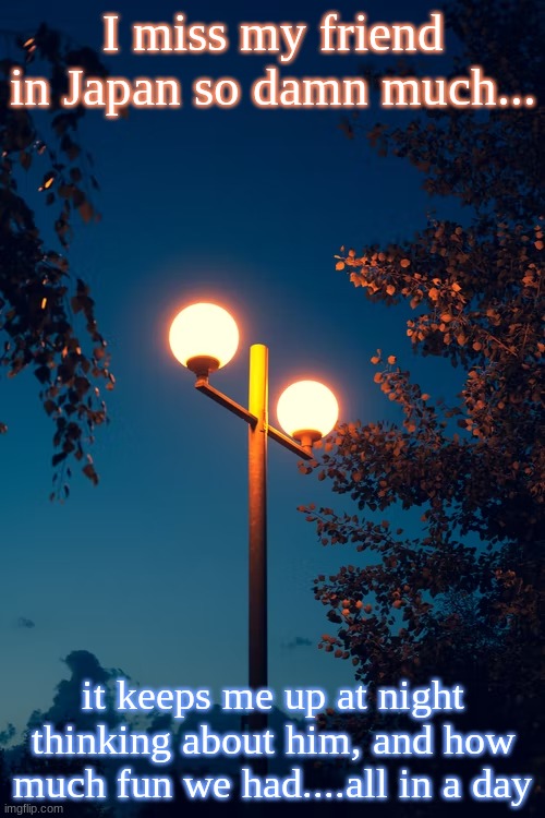 If you check my imgflip profile, and are reading this, I miss you so much :( | I miss my friend in Japan so damn much... it keeps me up at night thinking about him, and how much fun we had....all in a day | image tagged in icyxd s streetlights template | made w/ Imgflip meme maker