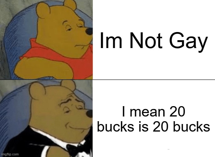 Im Not GAy | Im Not Gay; I mean 20 bucks is 20 bucks | image tagged in memes,tuxedo winnie the pooh | made w/ Imgflip meme maker