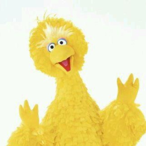 big bird 1 | image tagged in big bird 1 | made w/ Imgflip meme maker