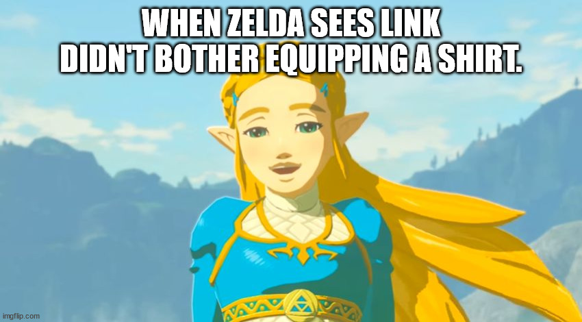 Zelda Sees Shirtless Link | WHEN ZELDA SEES LINK DIDN'T BOTHER EQUIPPING A SHIRT. | image tagged in zelda,link,shirtless,stare,desire,awkward | made w/ Imgflip meme maker