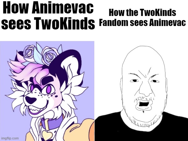 True or Nah.. | How Animevac sees TwoKinds; How the TwoKinds Fandom sees Animevac | made w/ Imgflip meme maker